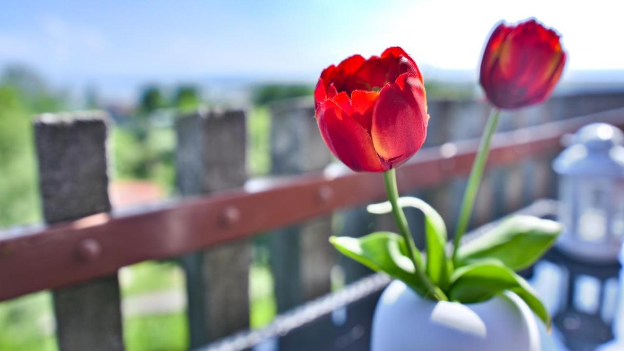 Apartment Casa Christina Rentals-24 Peschiera del Garda